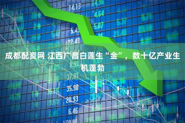 成都配资网 江西广昌白莲生“金”，数十亿产业生机蓬勃