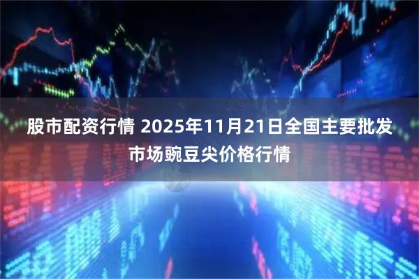 股市配资行情 2025年11月21日全国主要批发市场豌豆尖价格行情