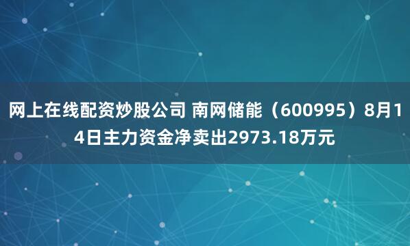 网上在线配资炒股公司 南网储能（600995）8月14日主力资金净卖出2973.18万元